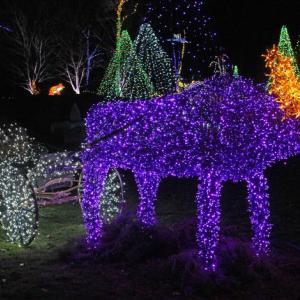 STEVE EDWARDS/Boothbay Register