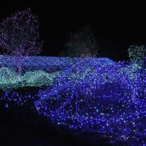 STEVE EDWARDS/Boothbay Register