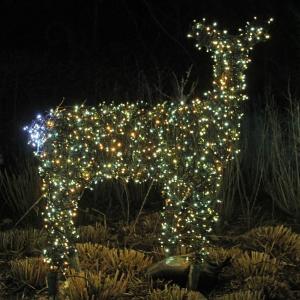 STEVE EDWARDS/Boothbay Register