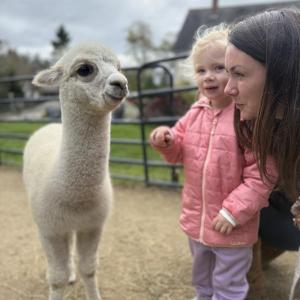Come to Open Farm Day at Cape Newagen Farm on Saturday, Nov. 15 between 10 a.m. and 2 p.m. Courtesy photo