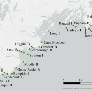 DMR's acoustic receivers are near sandy beaches that are popular with recreators. Courtesy of Matt Davis