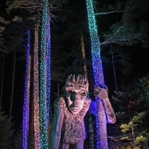 Gardens Aglow. STEVE EDWARDS/Boothbay Register