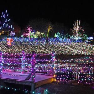 A scene from Gardens Aglow 2025. STEVE EDWARDS/Boothbay Register