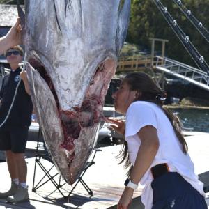 Jax van der Veen, chair of the tuna challenge committee, helps clean out a fish before weighing. FRITZ FREUDENBERGER/Boothbay Register