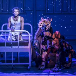 National Theater's "Life of Pi" screens Dec. 11 and 12 at the Lincoln Theater in Damariscotta. Image courtesy of the venue