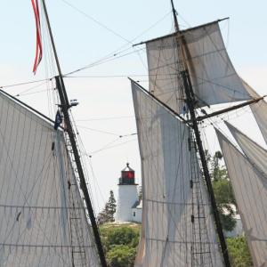 Windjammer Days. STEVE EDWARDS/Boothbay Register