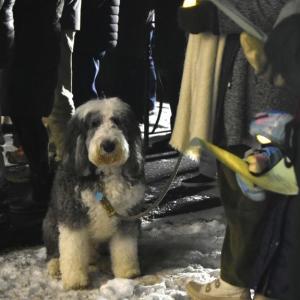 ISABELLE CURTIS/Boothbay Register