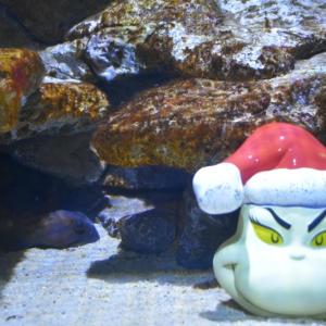 The Maine State Aquarium's resident ocean pout gets an unexpected tank mate this holiday season.  ISABELLE CURTIS/Boothbay Register