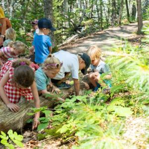 Adventure Camp decomposers. Courtesy of CMBG