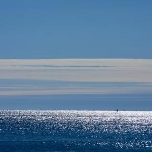 Photo by Robert Mitchell