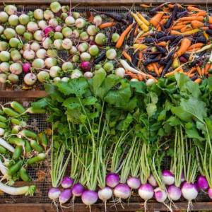 Veggies to Table vegetables. Kelsey Kobik photo