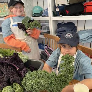 Some impressive kale grown in the Southport school community garden. Courtesy of Bonita Johnson.
