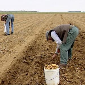 A scene from "The Gleaners" playing at Damariscotta's  Lincoln Theater Feb. 24. Courtesy of the venue