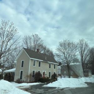 In real time, the authors estimated 400-500 Bohemian waxwings in the tops of the trees behind the house. Later, counting from a photograph, they discovered there was more than a thousand. Courtesy of Jeff and Allison Wells.