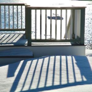 Photo by Robert Mitchell