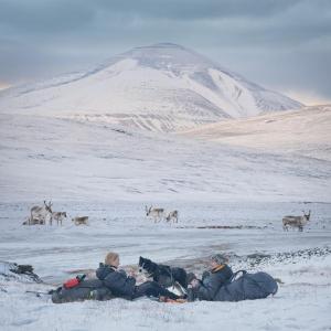 A still from the film “Reindalen,” follows two researchers and their canine sidekick as they study the world’s smallest and fattest reindeer, which are unexpectedly thriving in the fastest-warming place on Earth. Courtesy of Coastal Rivers