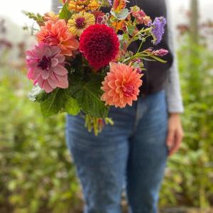 Dahlias. Erica Berman photo