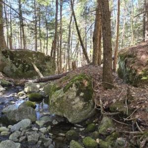 Glacial erratics at Herbie Hill. (FMI: Erratics can be large boulders or rocks, that have been deposited far from their source as ice melted, providing clear evidence of past glaciation. You can generally identify these as the rock type of the erratic differs from the surrounding bedrock. Often, these are large, isolated, and angular boulders that appear "out of place" in the landscape.) Morganne Price photo