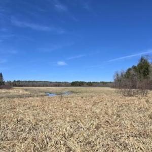 A view of the special habitat. Morganne Price photo