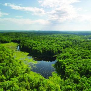 At 500 acres, Hart Woods represents one of the largest connected blocks of forest on this part of the Maine Coast. Photo by Bo Calais