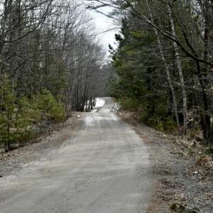 Looking downhill on the dirt road leading to the top of Ozone Mountain.  A number of homes were built on the summit of the high hill where over the years the trees have grown up obscuring the view of the surrounding countryside. PHIL DI VECE photo