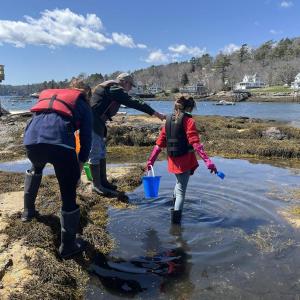 Enjoy the "Tide Pool Adventures" in East Boothbay April 22. Bethany Schmidt photo