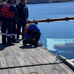 Jennie Mitchell Plummer photo