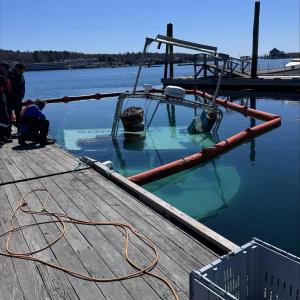 Jennie Mitchell Plummer photo