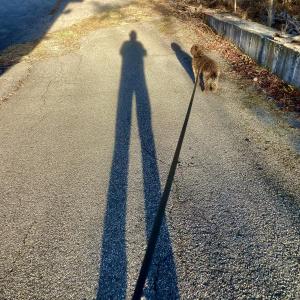 Photo by Robert Mitchell