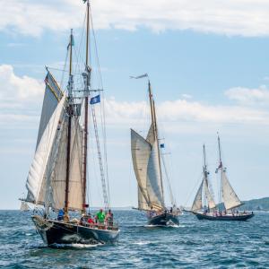 Courtesy of Friends of Windjammer Days