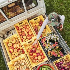 A produce haul from Veggies to Table. Michael Wilson Photography 