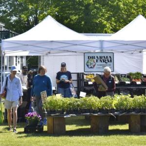 Summer weather greeted shoppers at Boothbay Farmers' Market June 4. ISABELLE CURTIS/Boothbay Register