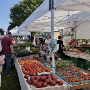 The display of vegetables and more at Goranson Farm's tent at the Boothbay Farmers' Market. EMMA BENVENUTO/Boothbay Register