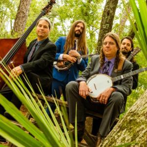 The Henhouse Prowlers. Opera House. July 29. Got tickets? Photo: Stephanie Heath