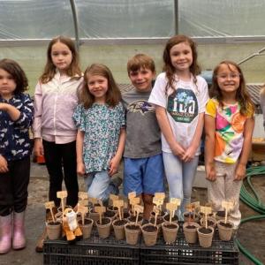 Veggies to Table kicked off its expanded educational offerings with "Tiny Farmers," an opportunity for children to get their hands dirty while learning about the process of growing food. Courtesy of Erica Berman.
