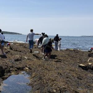 Exploring on Burnt Island. Courtesy photo