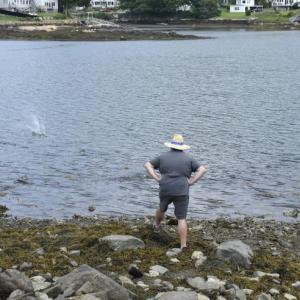 LISA KRISTOFF/Boothbay Register