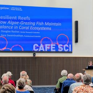 Cafe Sci