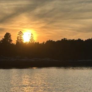 Sunlight through the trees. KEVIN BURNHAM/Boothbay Register