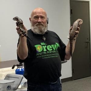 Mr. Drew compares a healthy blue-tongued skink (right) with one that has a permanent spine curvature from metabolic bone disease. The latter did not receive proper care after being purchased from a pet store. ISABELLE CURTIS/Boothbay Register