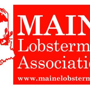 MLA logo