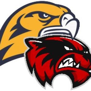 BRHS-WMHS logo