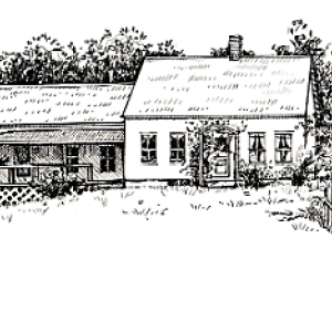 Drawing by Diane Spofford Randlett