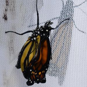 LISA KRISTOFF/Boothbay Register 