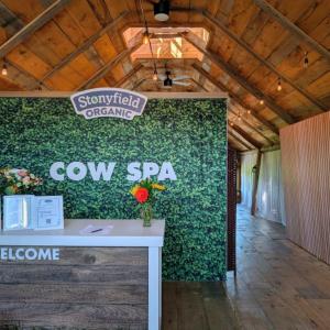 Cow Spa