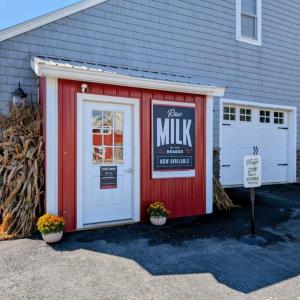 Cow Spa