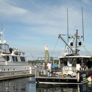 STEVE EDWARDS/Boothbay Register