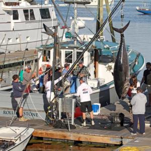 STEVE EDWARDS/Boothbay Register