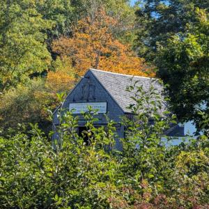 Harvesting Memories: BRVM Harvest Day 2026