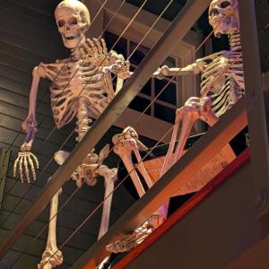 Shifting shadows, stories, haunt Boothbay Opera House